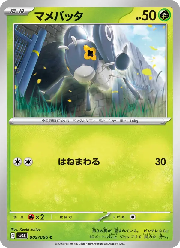 マメバッタ