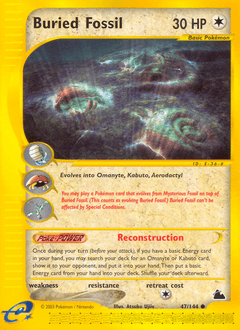 Buried Fossil